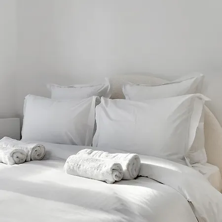 Spacious And Comfortable In Bastille Apartment *